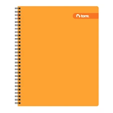 CUADERNO UNIVERSITARIO 100 HJS